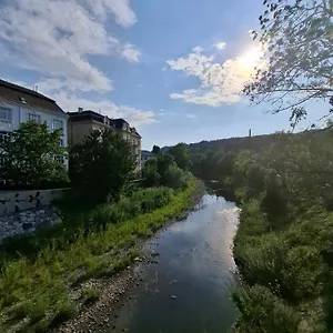 Adelin Wien
